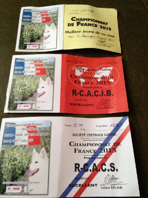 Du Manoir De Beaupre - CHAMPIONNAT DE FRANCE 2015