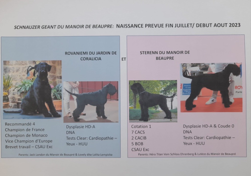 NAISSANCE DÉBUT AOÛT 2023