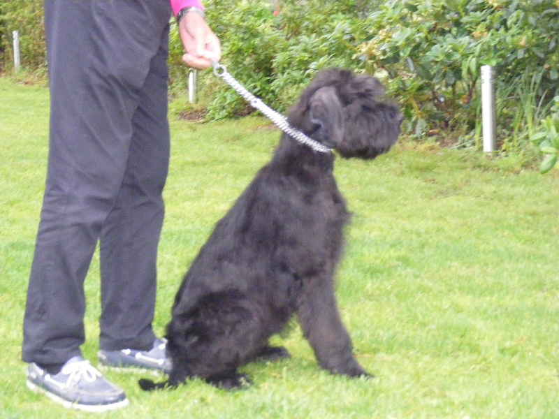 Les Bebés 2012 D'ATHOS ET ERMINE