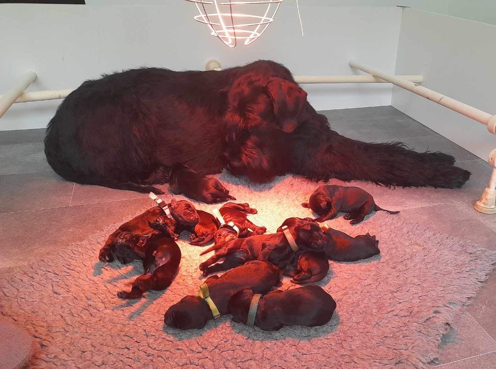 Les bébés de Sterenn et Rovaniemi